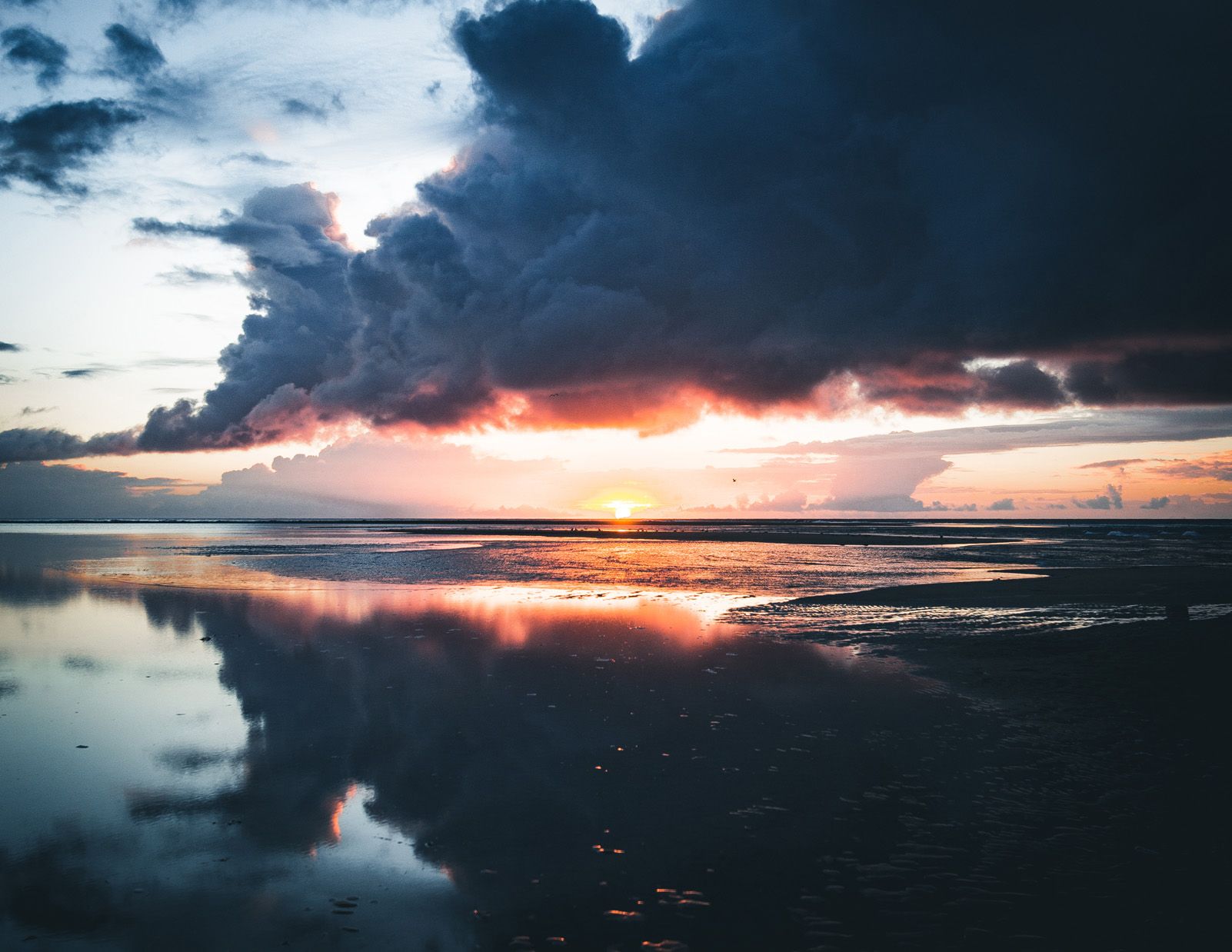 Aitor Zurita Rodrigo "La força d'un sol impotent"