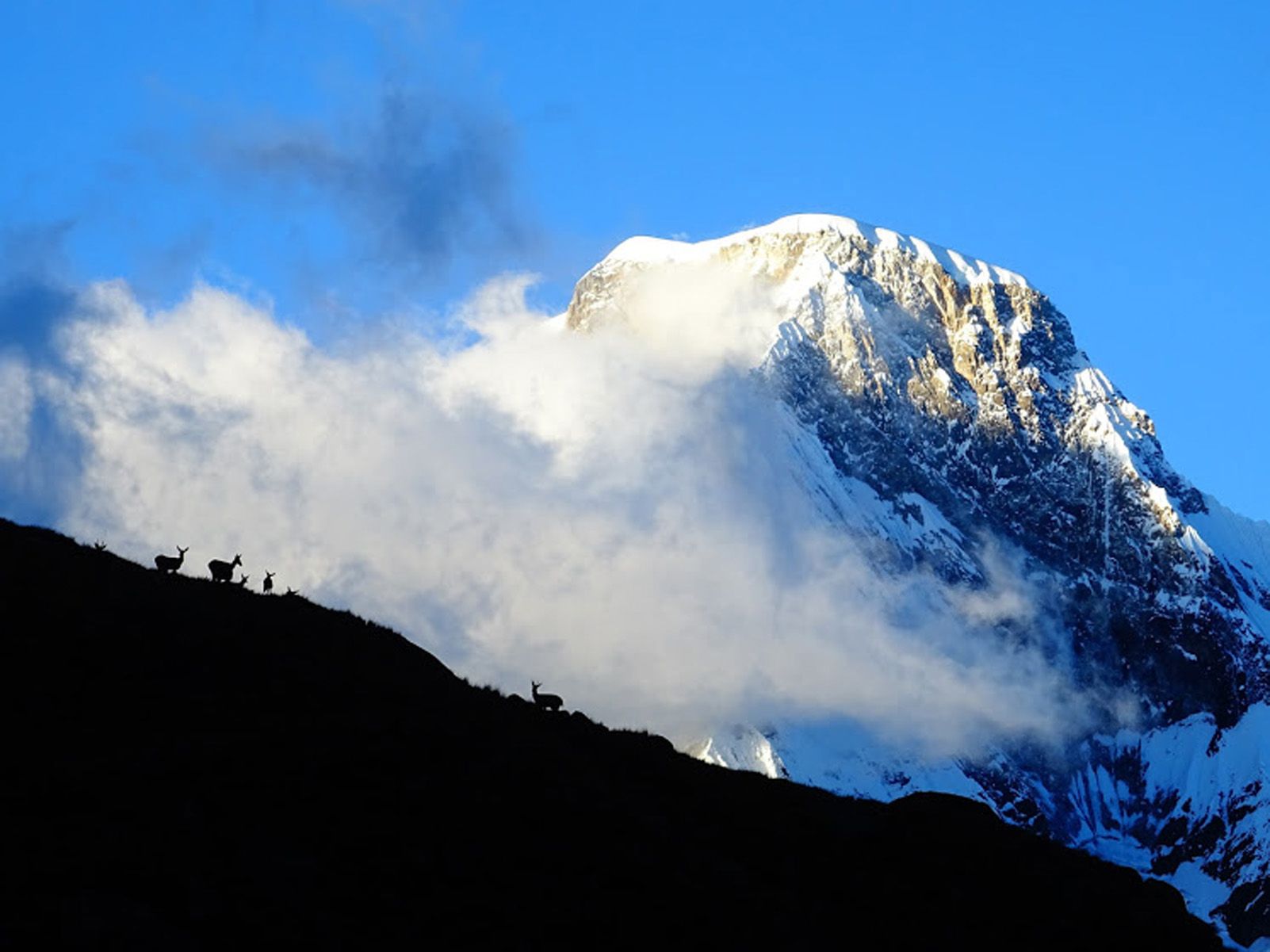 Alba Calvo "Bon dia des de l'alta muntanya"