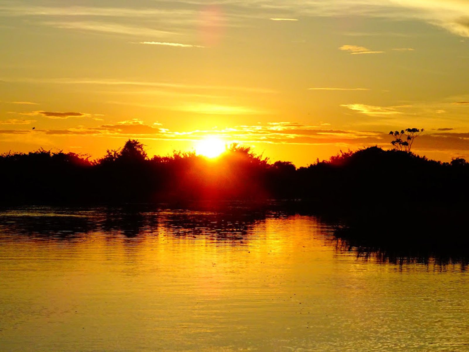 Alba Calvo "Bon vespre des de la Pampa Boliviana"