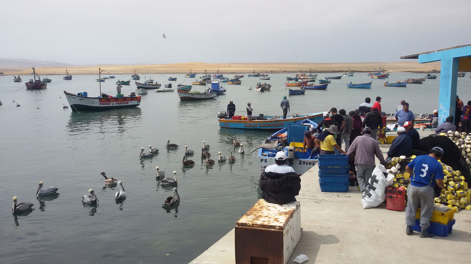 Albert Ruiz Abella "Pescadors artesanals a Lagunilla"