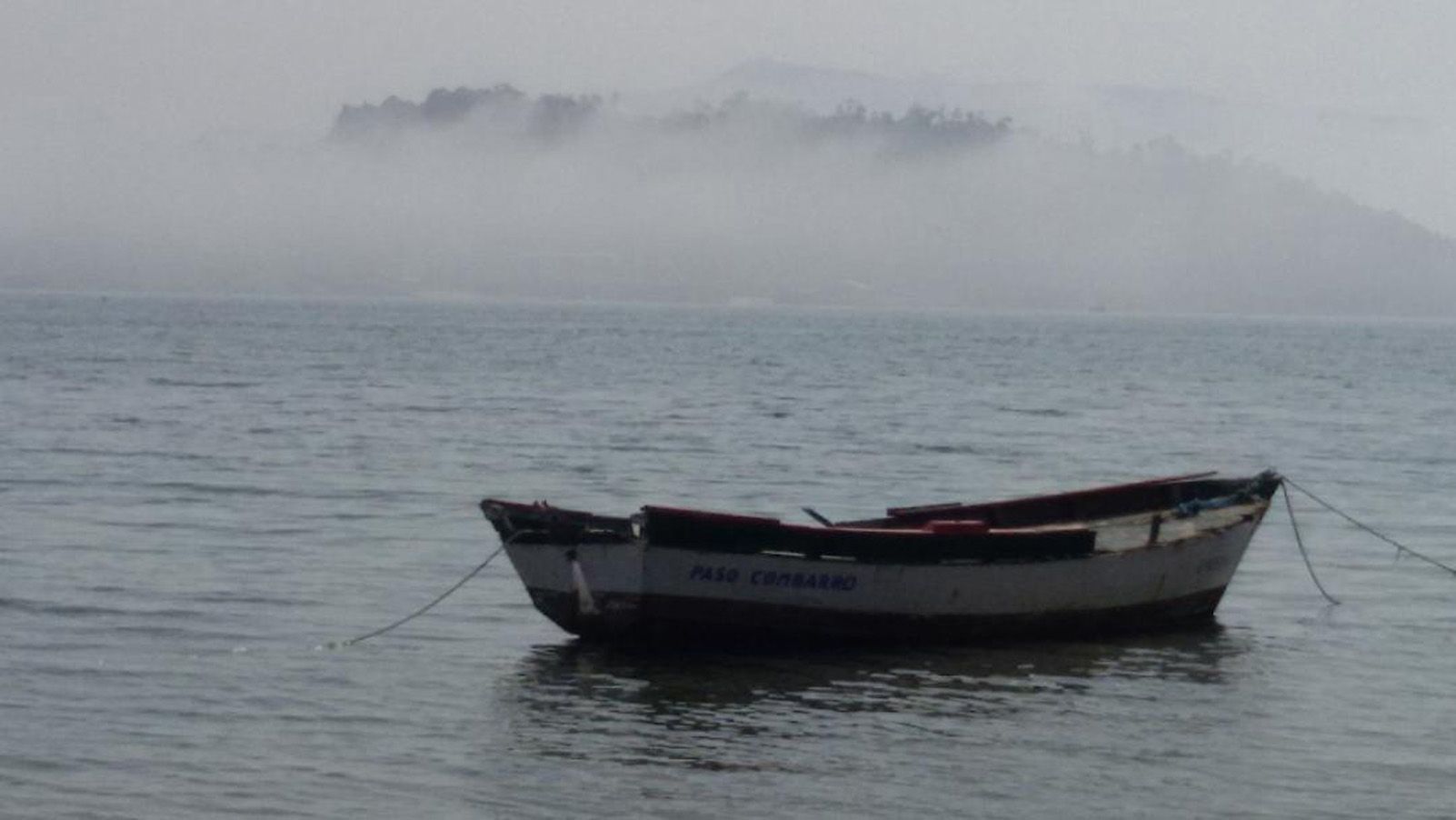 ALEXANDRA STAUDENECKER "Niebla"