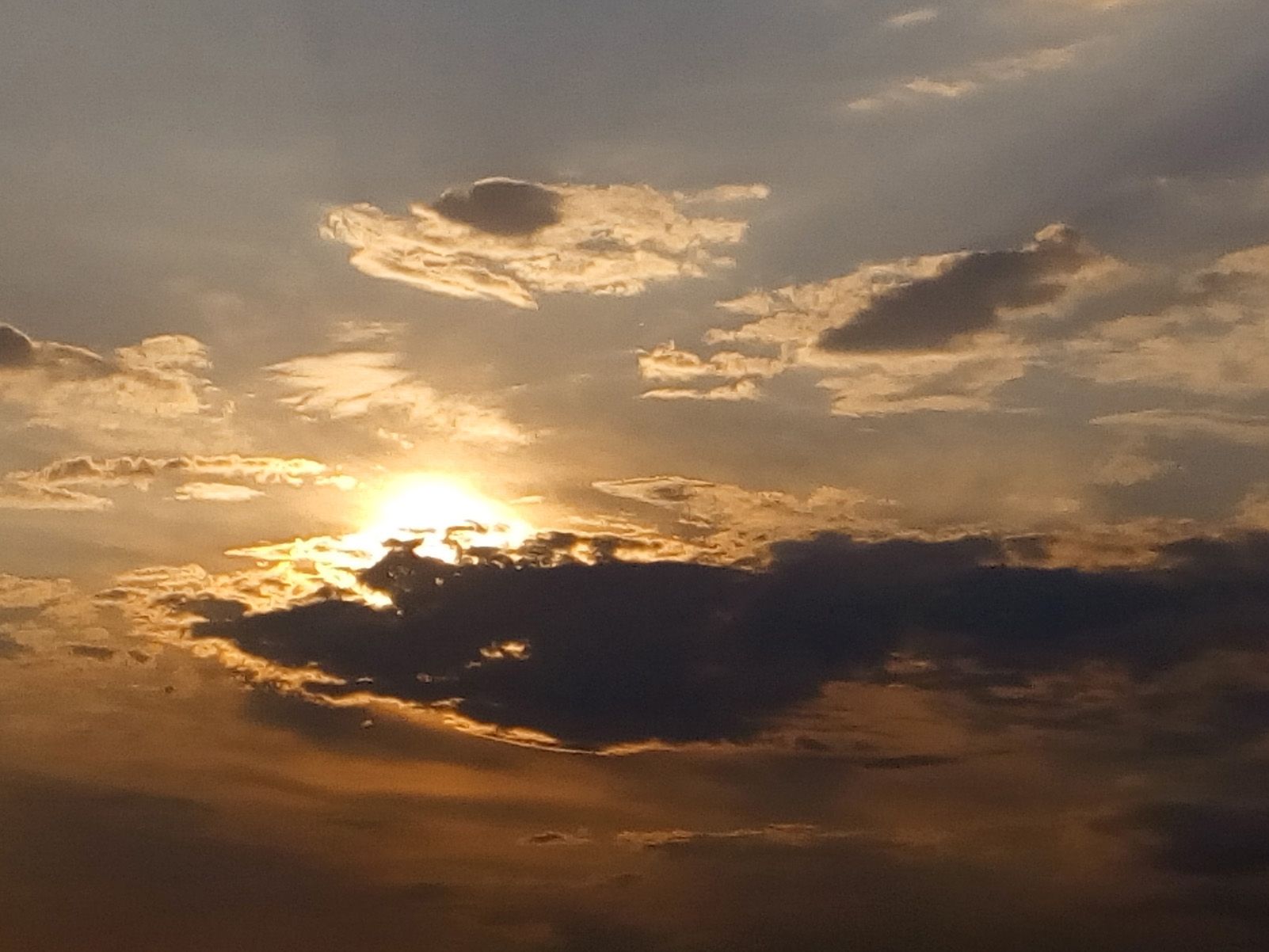 ANDNET SOLE CARBONELL "Cel"