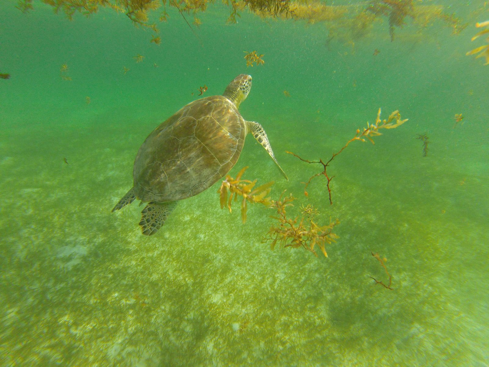 Andrés Arnal Martinez  "en el meu hàbitat natural"