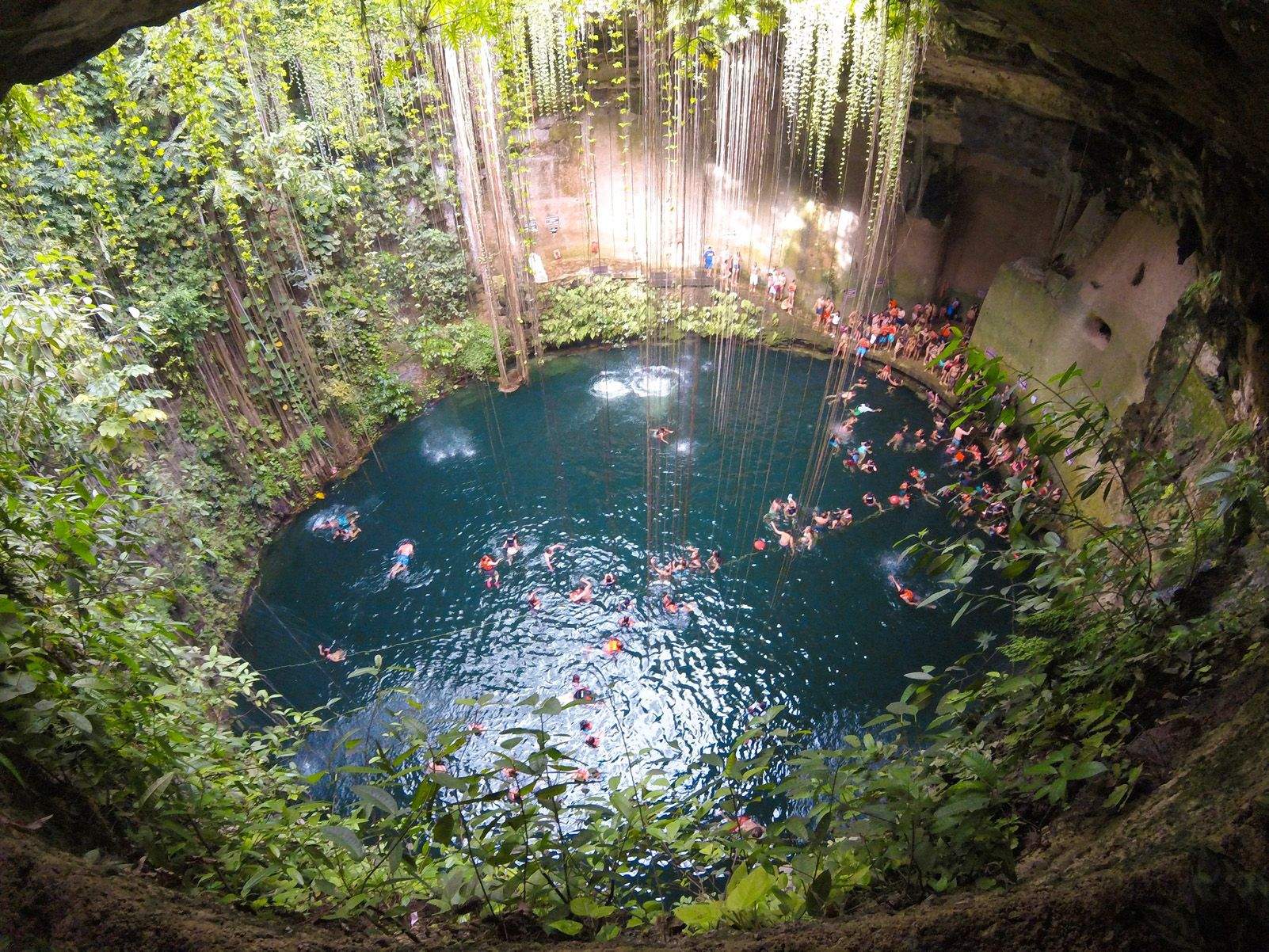 Andrés Arnal Martinez "Jardí aquàtic"
