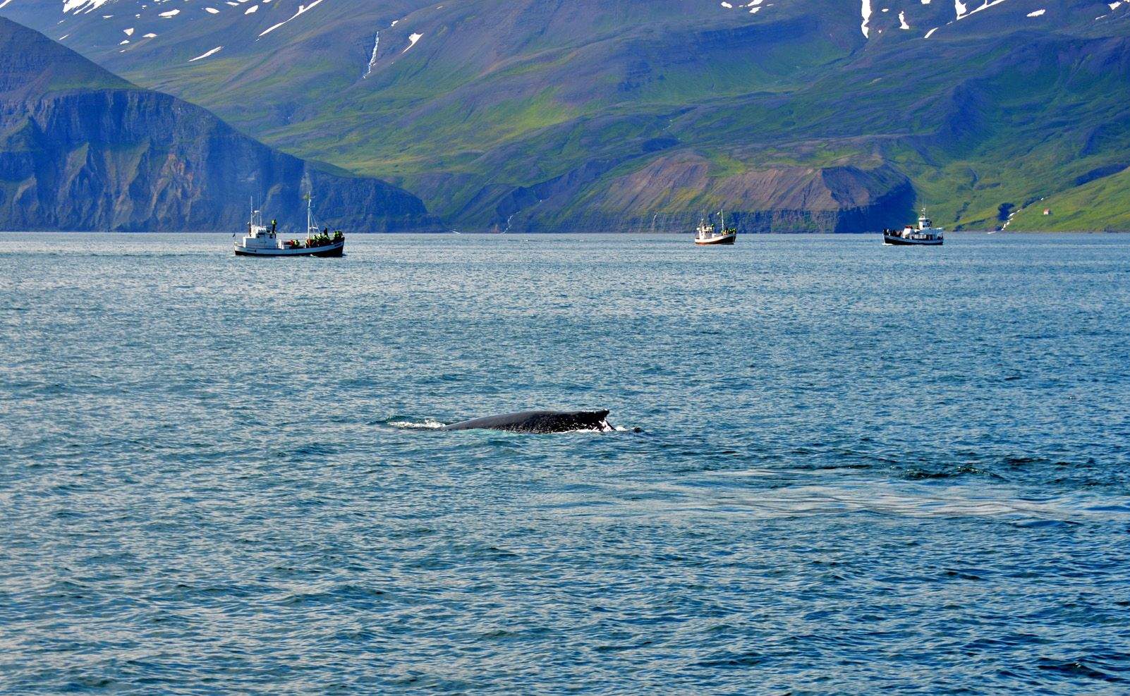 Antonio Martín Tenorio "Por aquí resopla!!!"