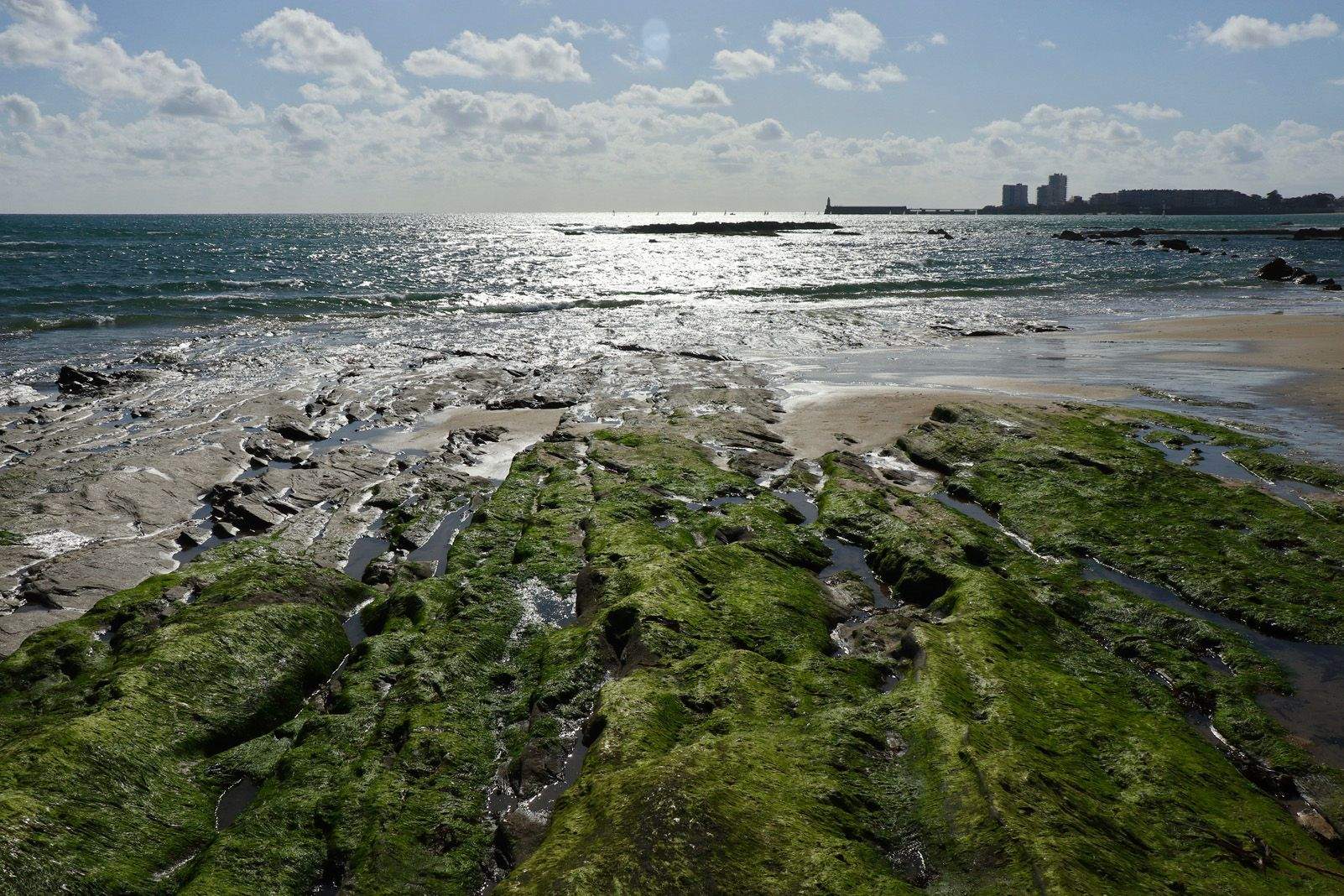 ASSUMPTA OSÉS CAICEDO "MAREA BAIXA"