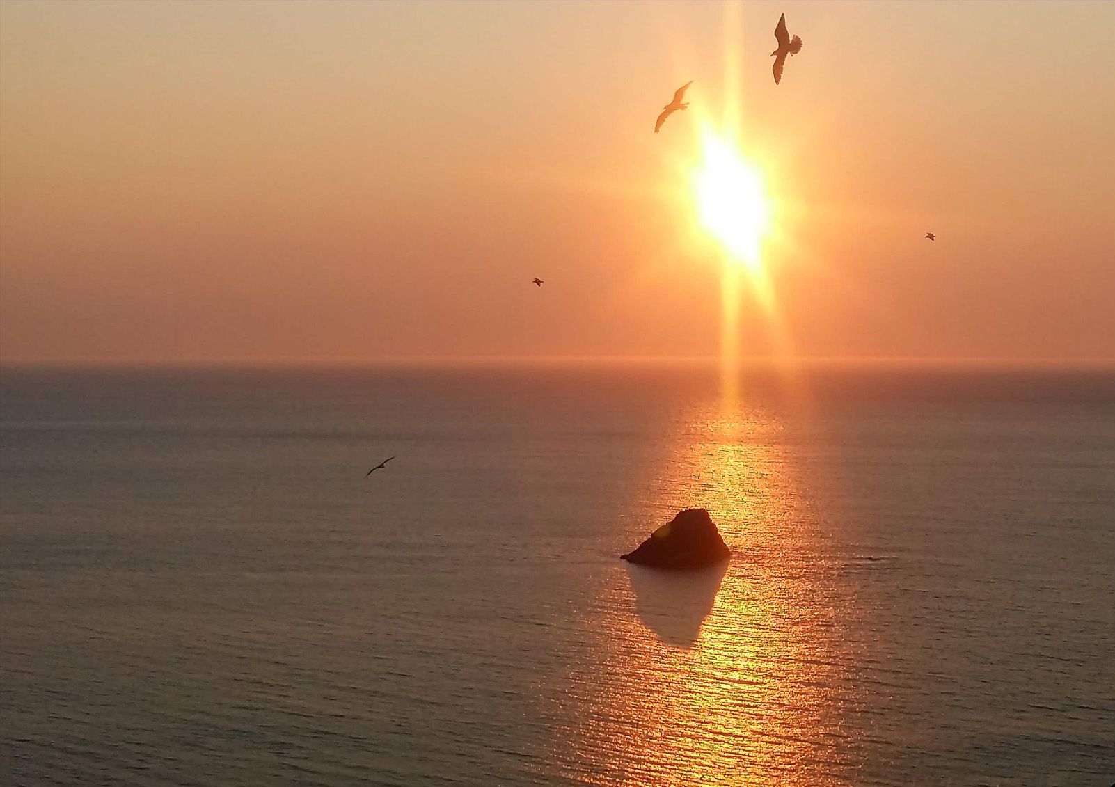 Asun Prim Vidal "Posta de sol a la fi del món"