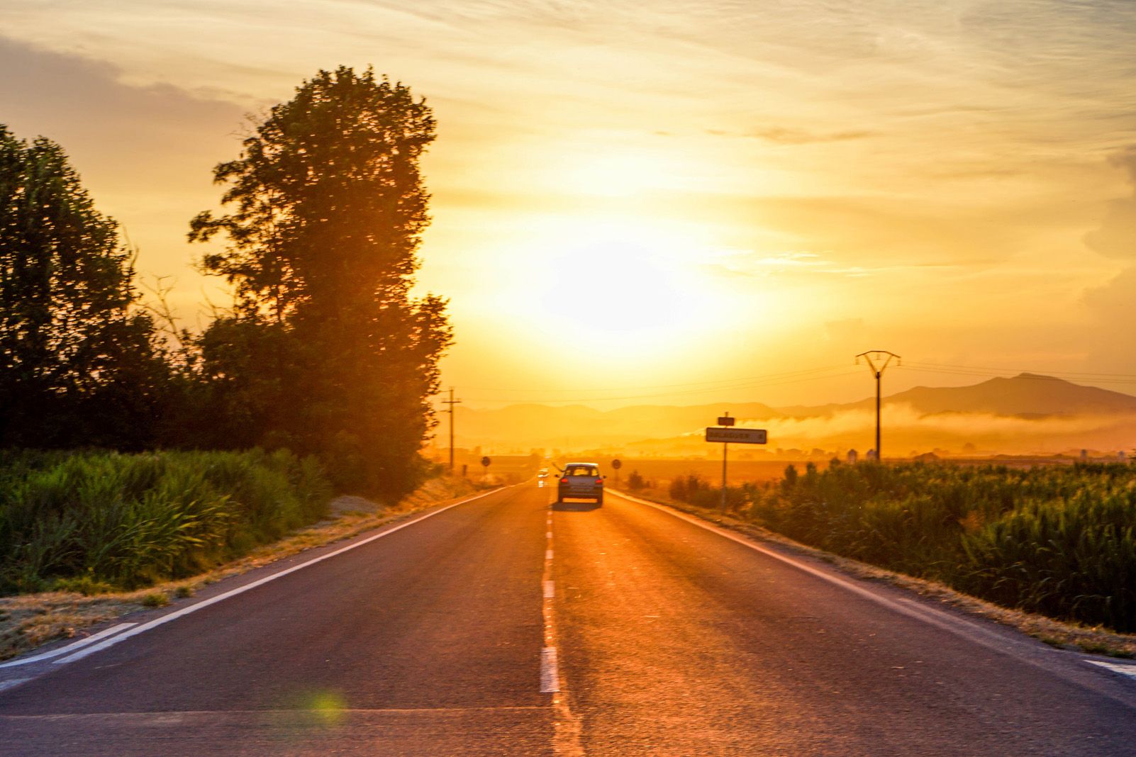 Berta Cotrina Domingo "L'adéu"