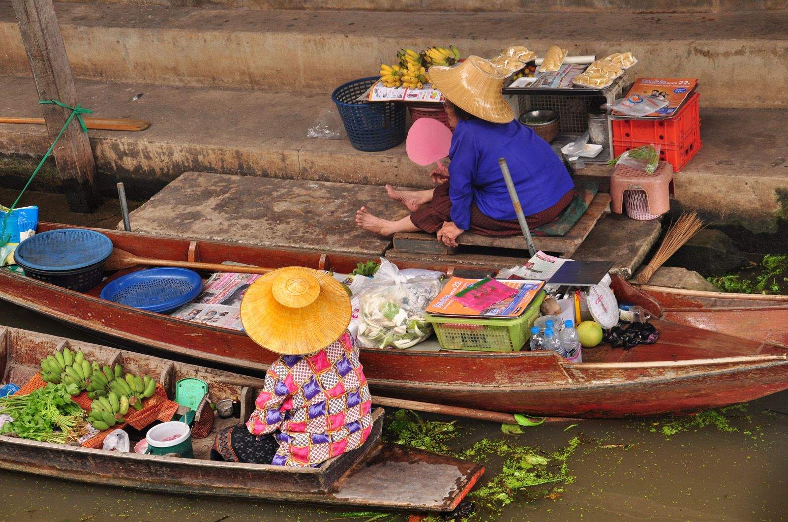 Carla Gotsens "En color"