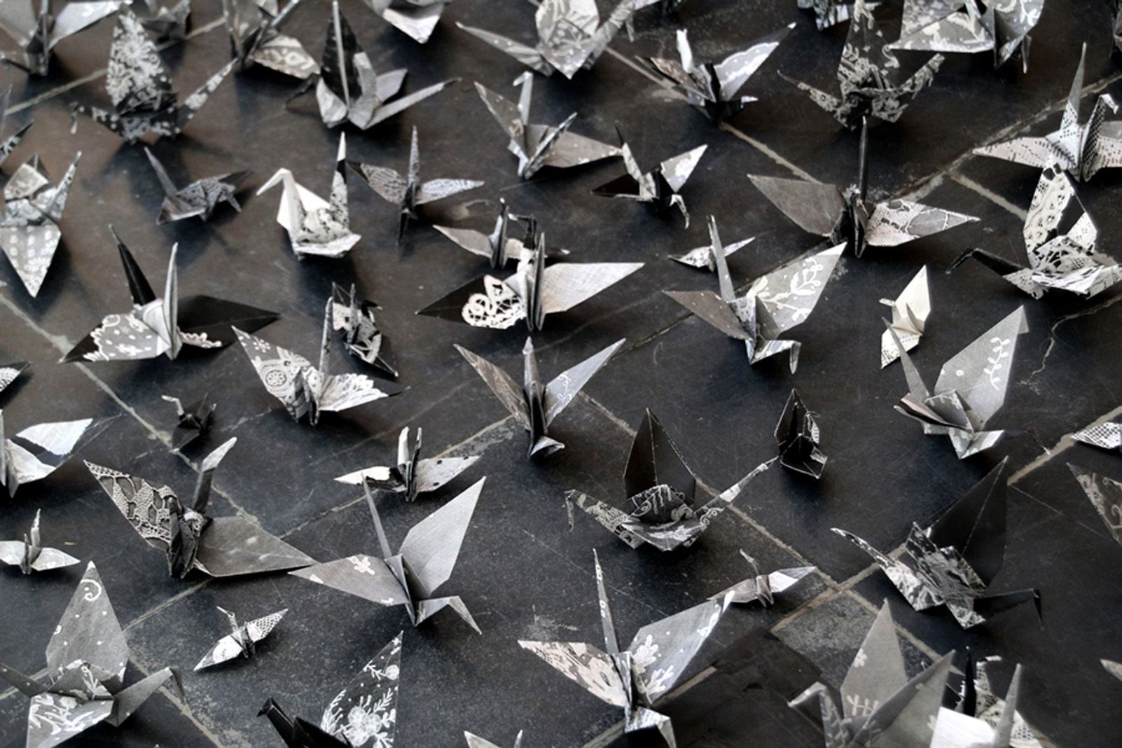 Carlos Albacete Porcel "Calma"