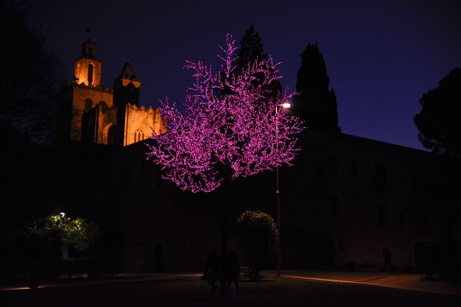 Llums de Nadal. Foto: Bernat Millet.