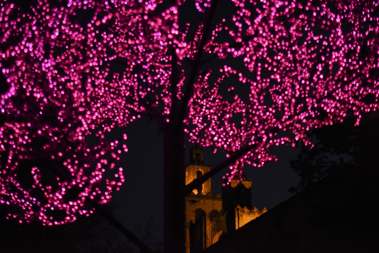Llums de Nadal. Foto: Bernat Millet.