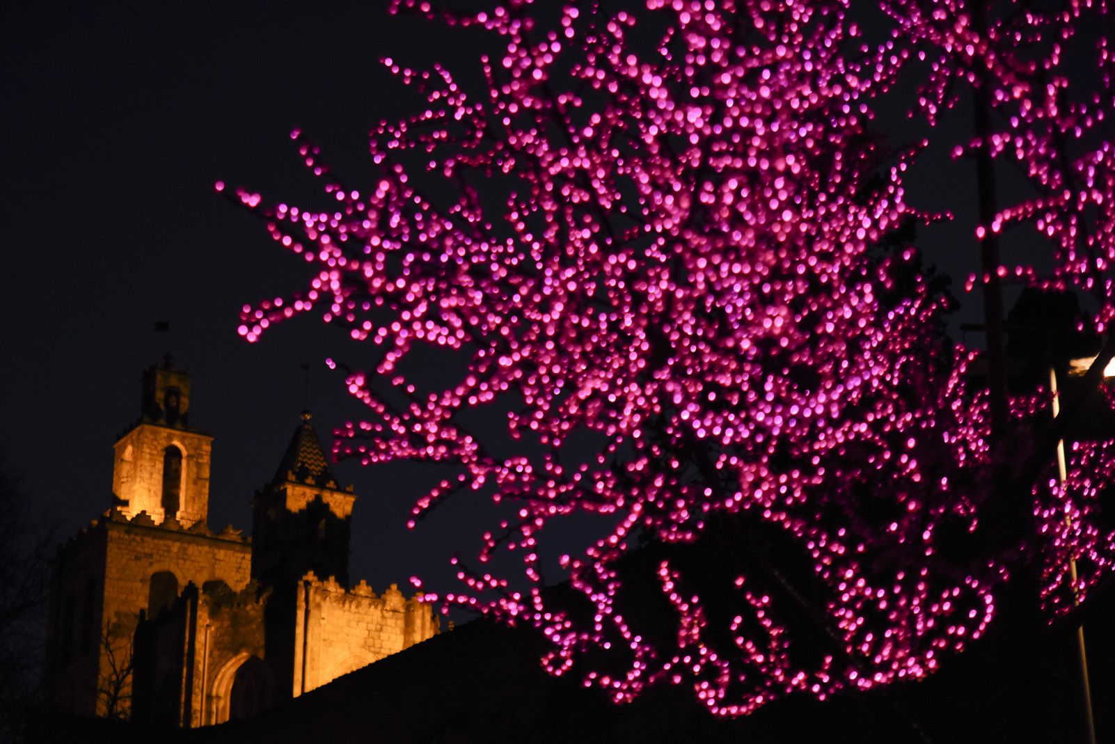 Llums de Nadal. Foto: Bernat Millet.