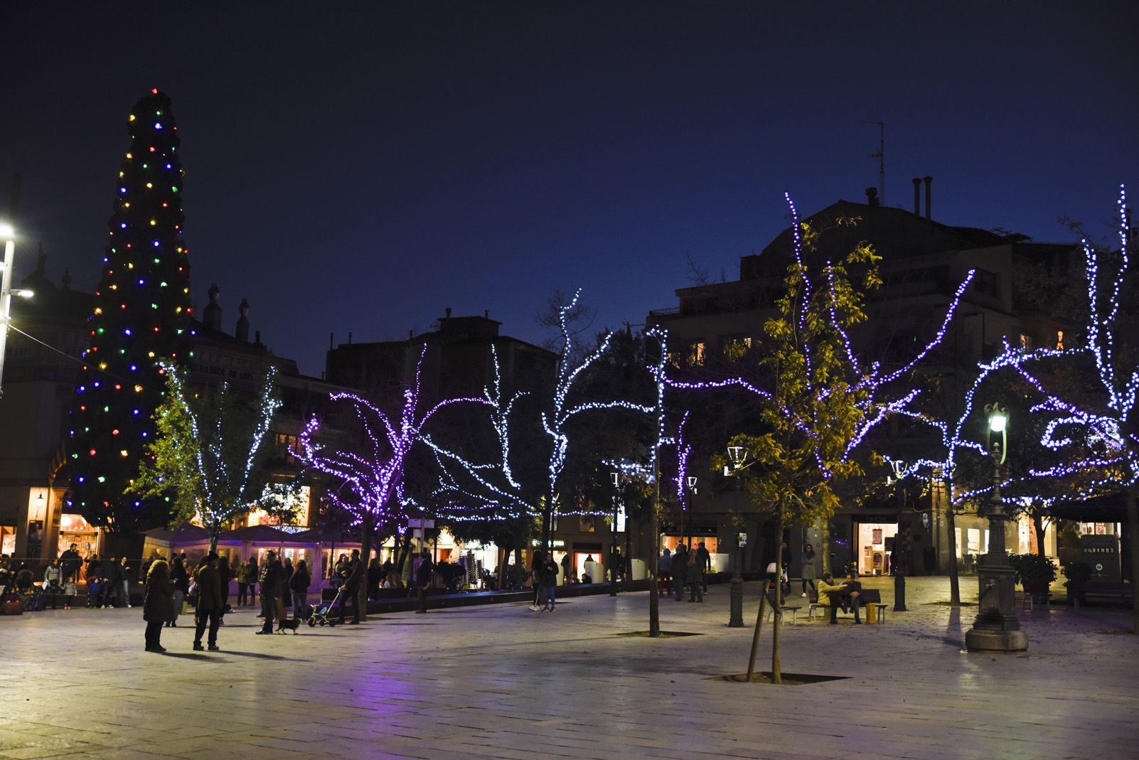 Llums de Nadal. Foto: Bernat Millet.