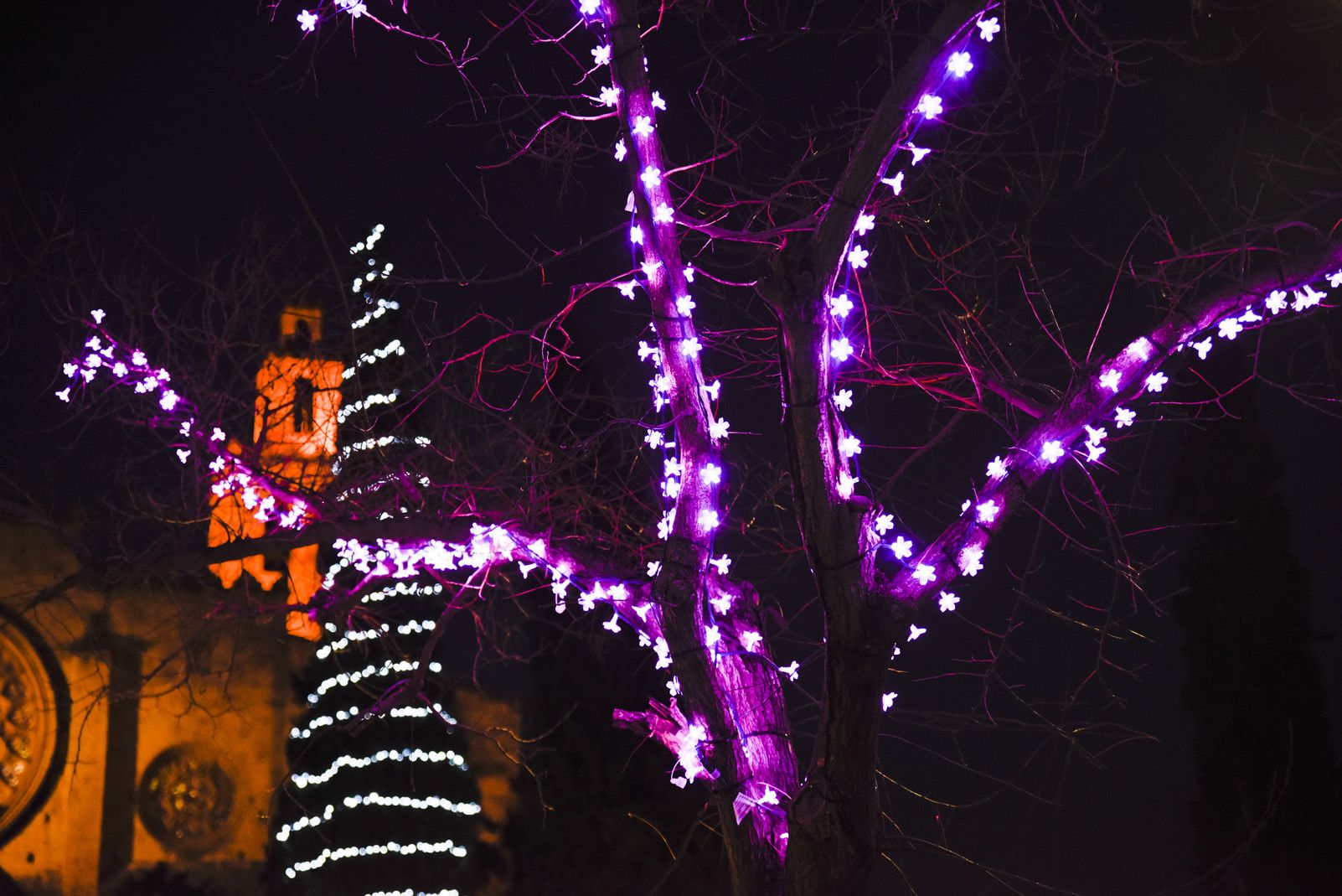 Llums de Nadal. Foto: Bernat Millet.