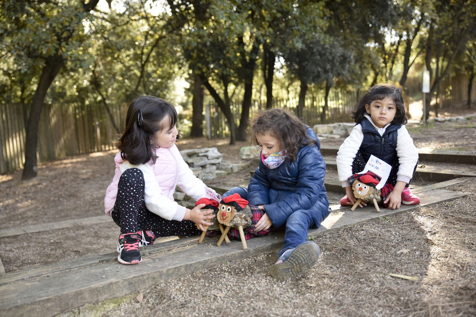 Cacera de tions al bosc de Volpelleres. Foto: Bernat Millet.