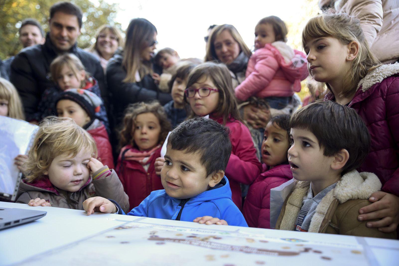Cacera de tions al bosc de Volpelleres. Foto: Bernat Millet.