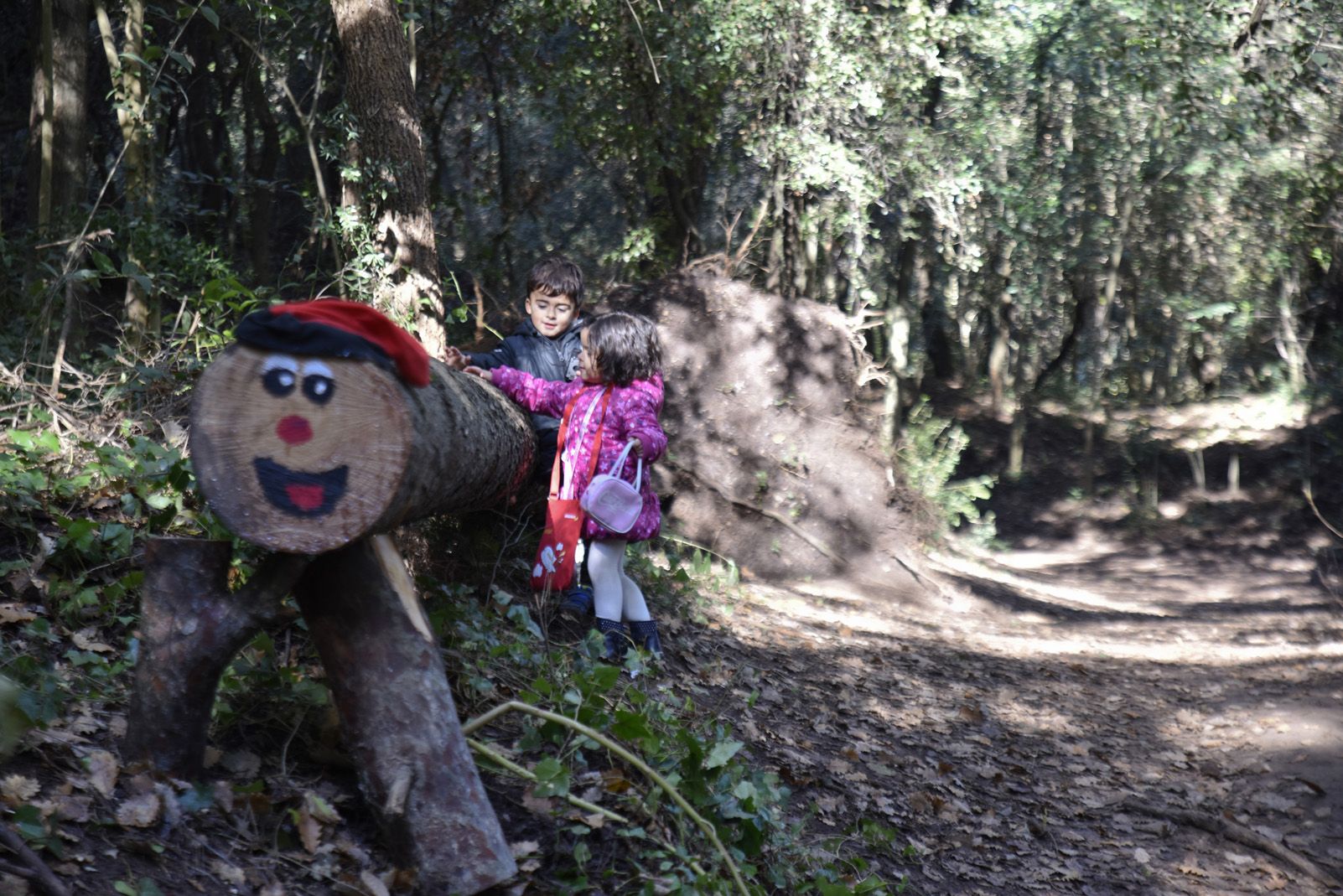 Cacera de tions al bosc de Volpelleres. Foto: Bernat Millet.
