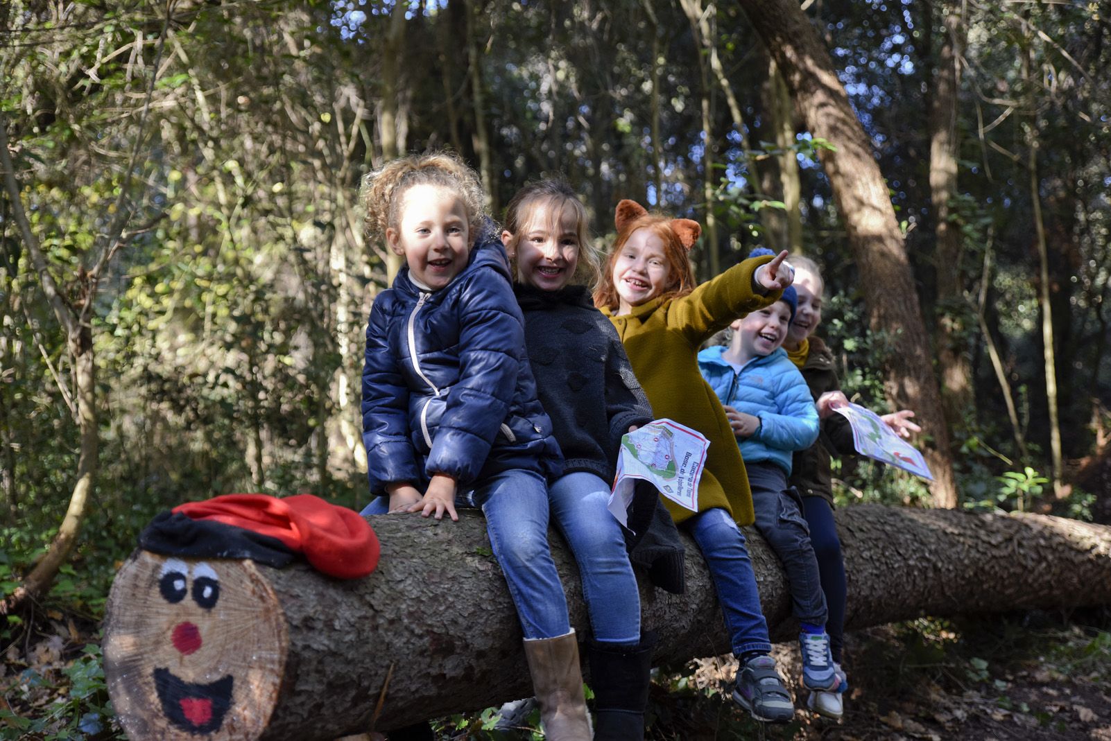Cacera de tions al bosc de Volpelleres. Foto: Bernat Millet.
