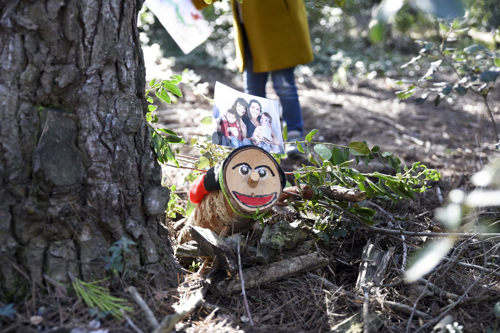Cacera de tions al bosc de Volpelleres. Foto: Bernat Millet.