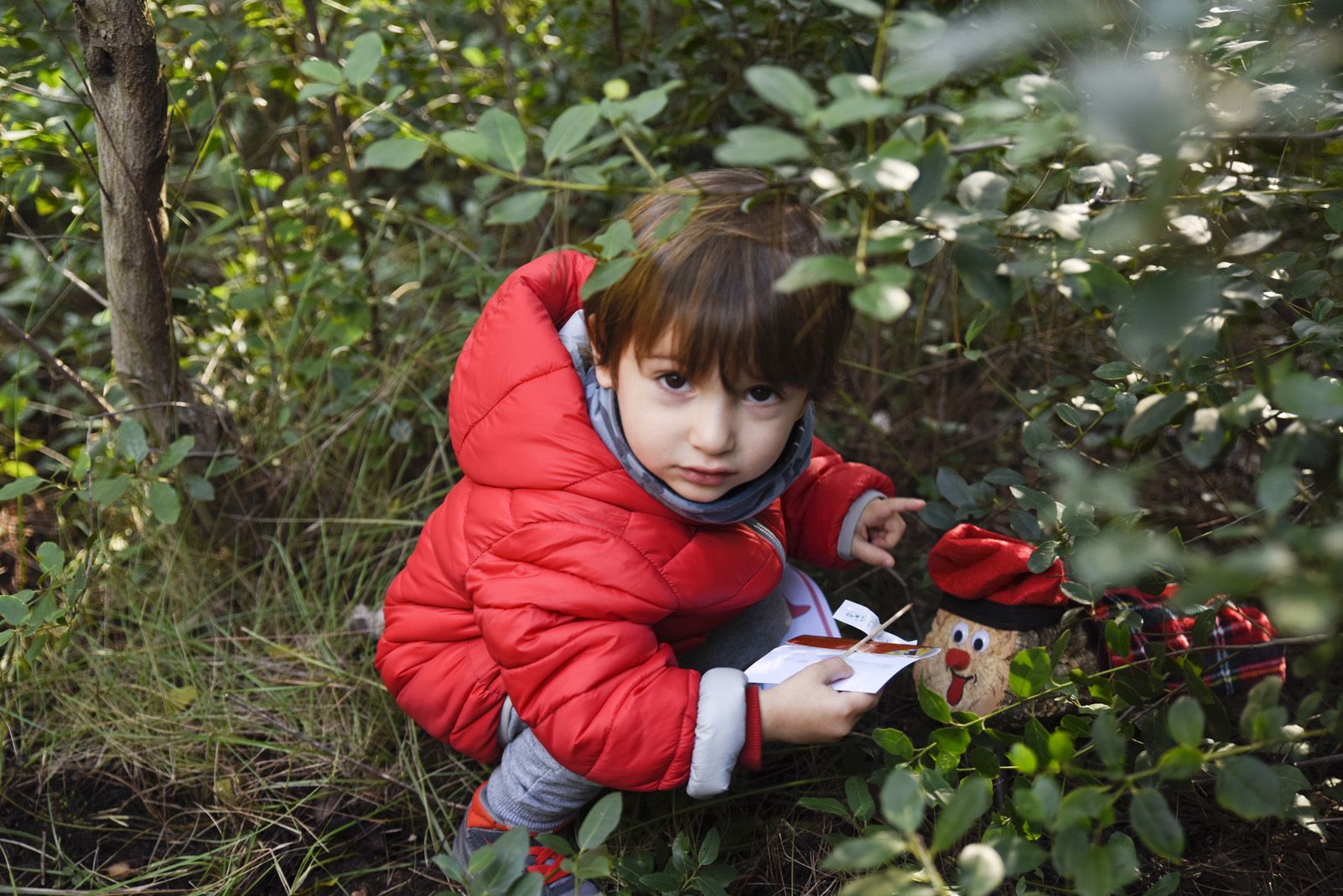 Cacera de tions al bosc de Volpelleres. Foto: Bernat Millet.