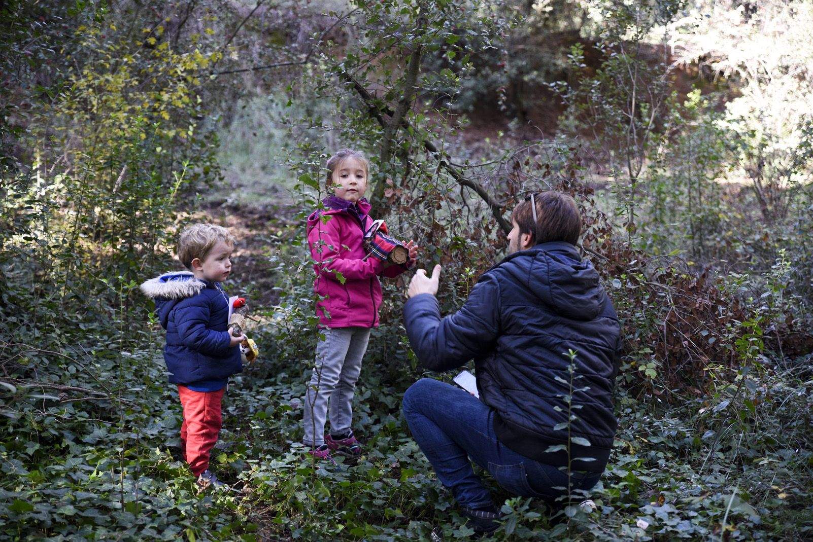 Cacera de tions al bosc de Volpelleres. Foto: Bernat Millet.