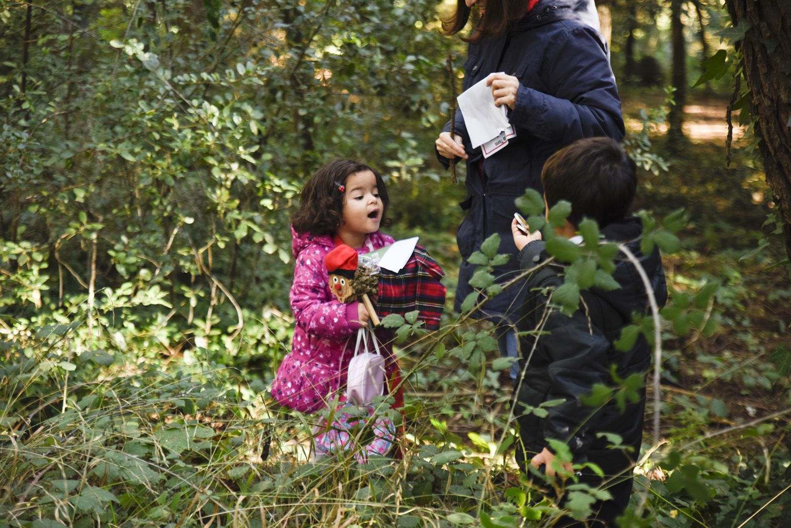 Cacera de tions al bosc de Volpelleres. Foto: Bernat Millet.