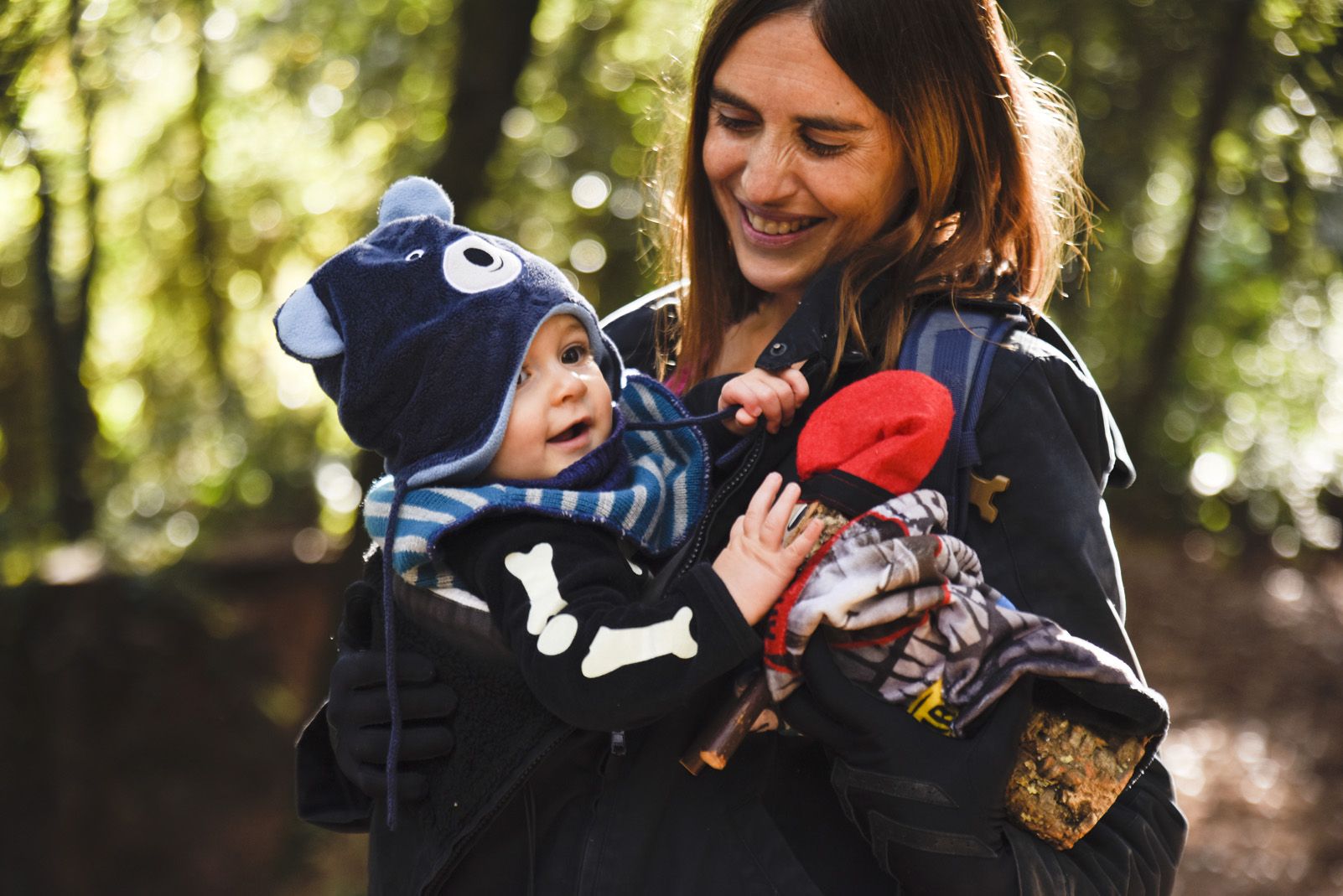 Cacera de tions al bosc de Volpelleres. Foto: Bernat Millet.