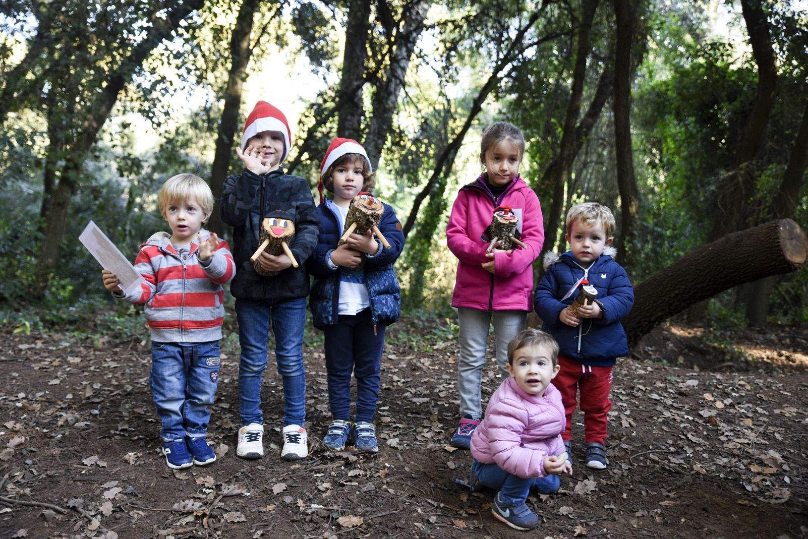 Cacera de tions al bosc de Volpelleres. Foto: Bernat Millet.