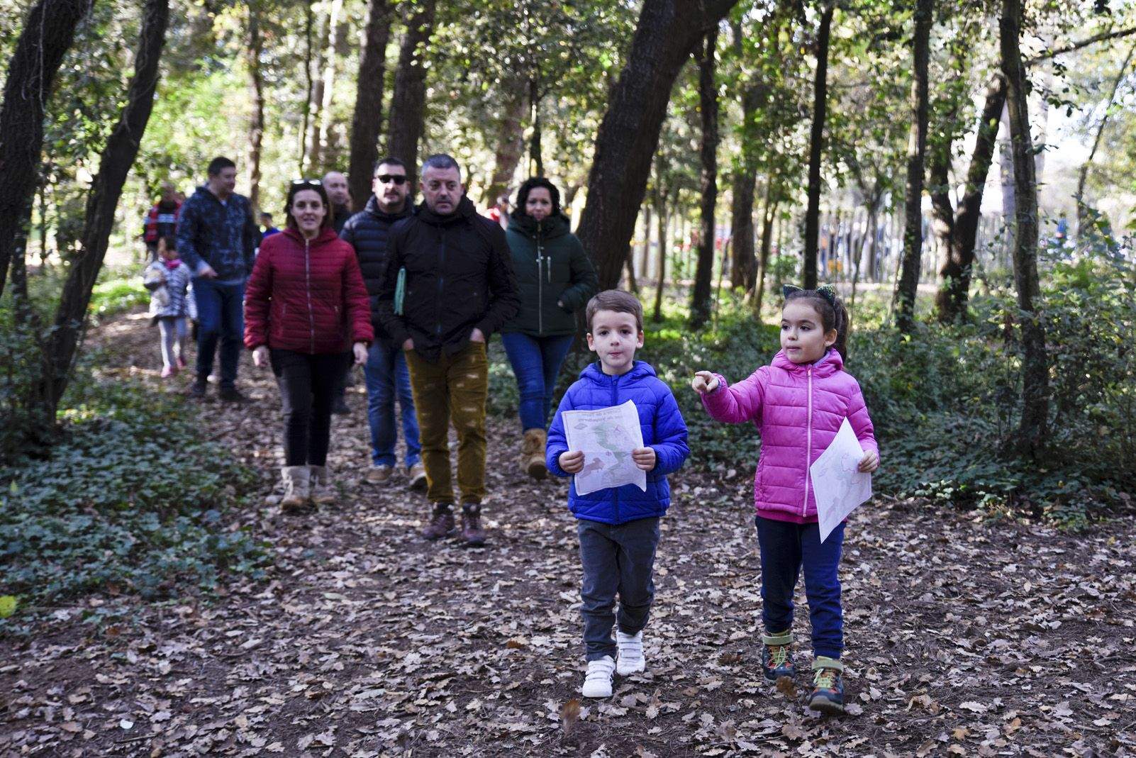 Cacera de tions al bosc de Volpelleres. Foto: Bernat Millet.
