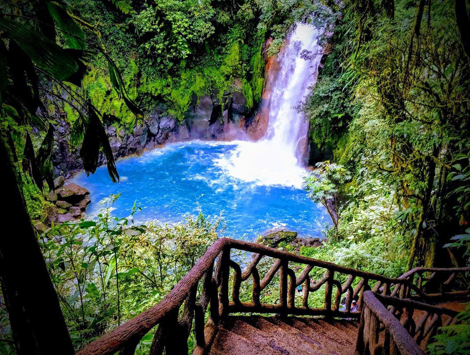 Carlos Blasco Farelo "Natura Acolorida"