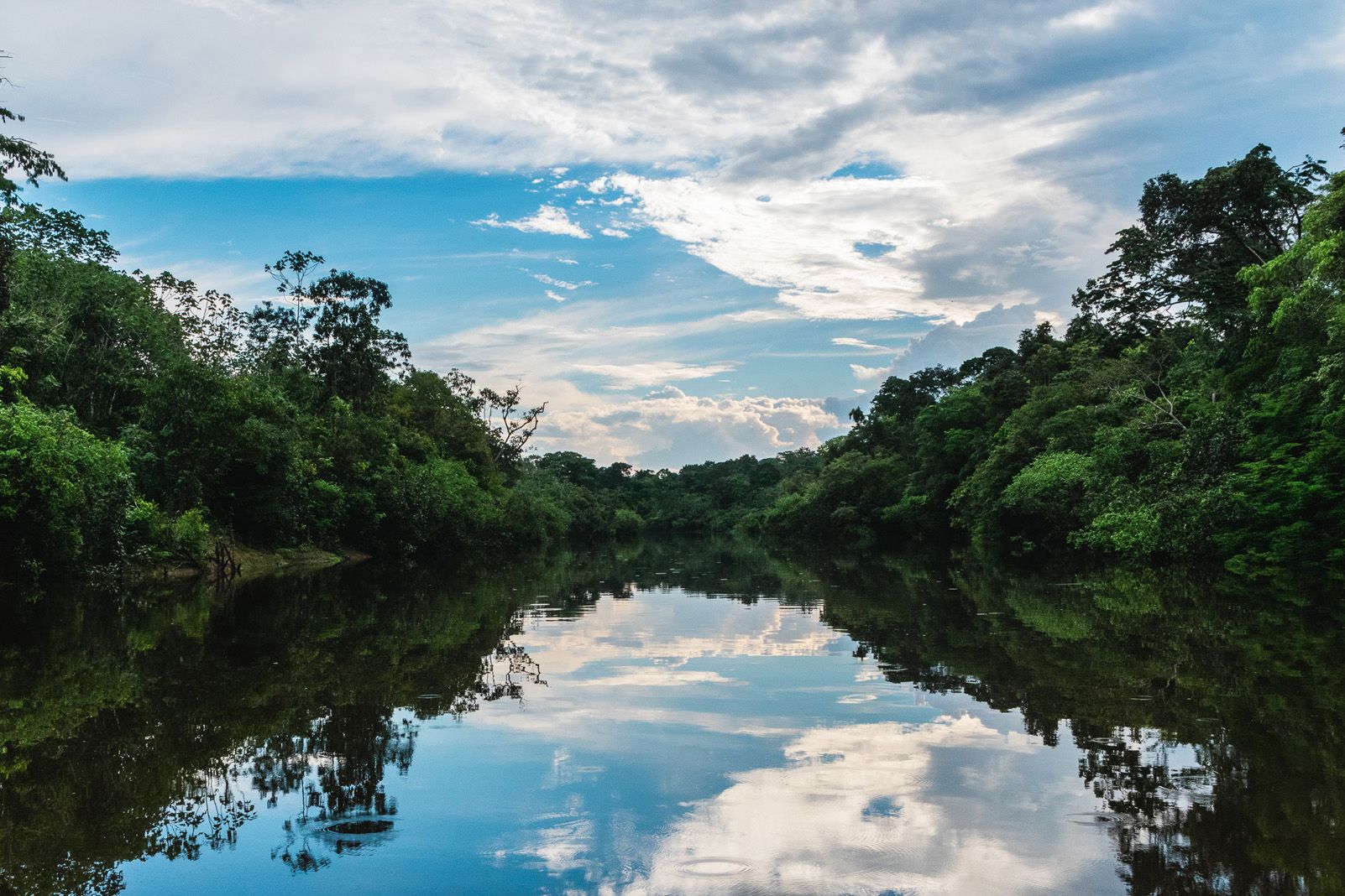 Carlos Mayora Curzio "Sicut in caelo et in terra"