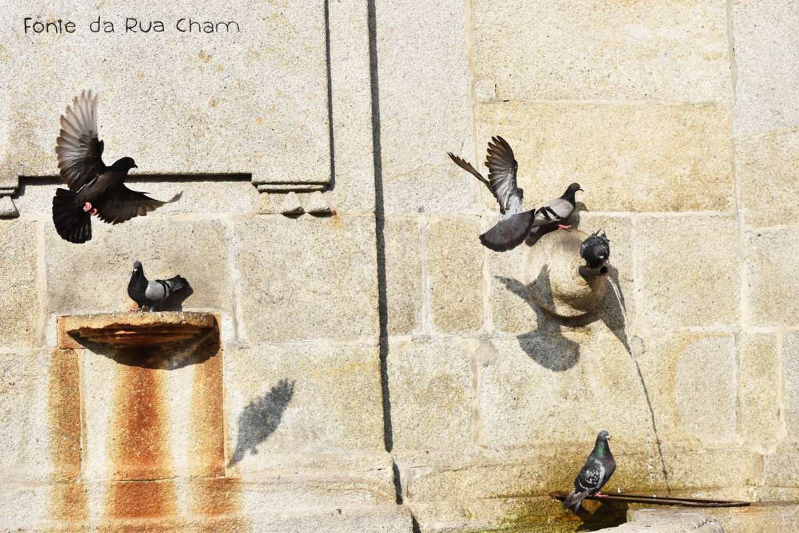 Clara Martín Grau "Refrescar-se"