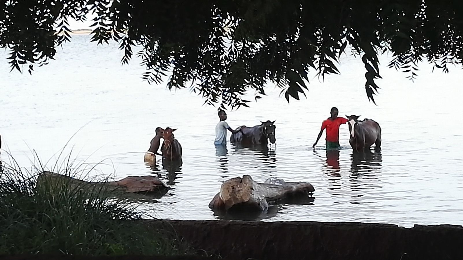 Cristina Font Figueres "El bany"
