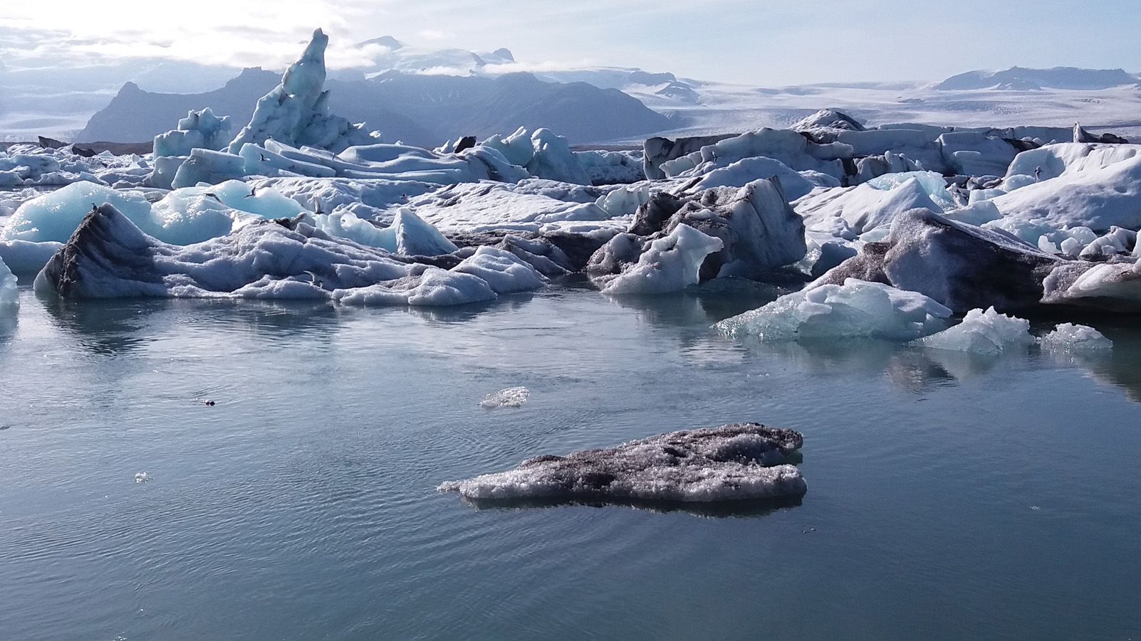 CRISTINA VILADOT LORENTE "COR GELAT"
