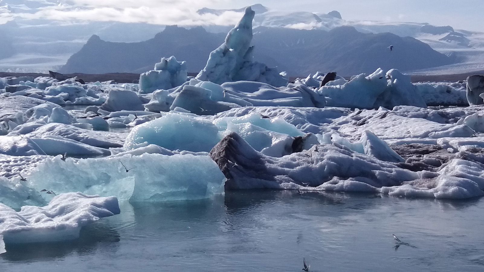 CRISTINA VILADOT LORENTE "GEL BLAU"