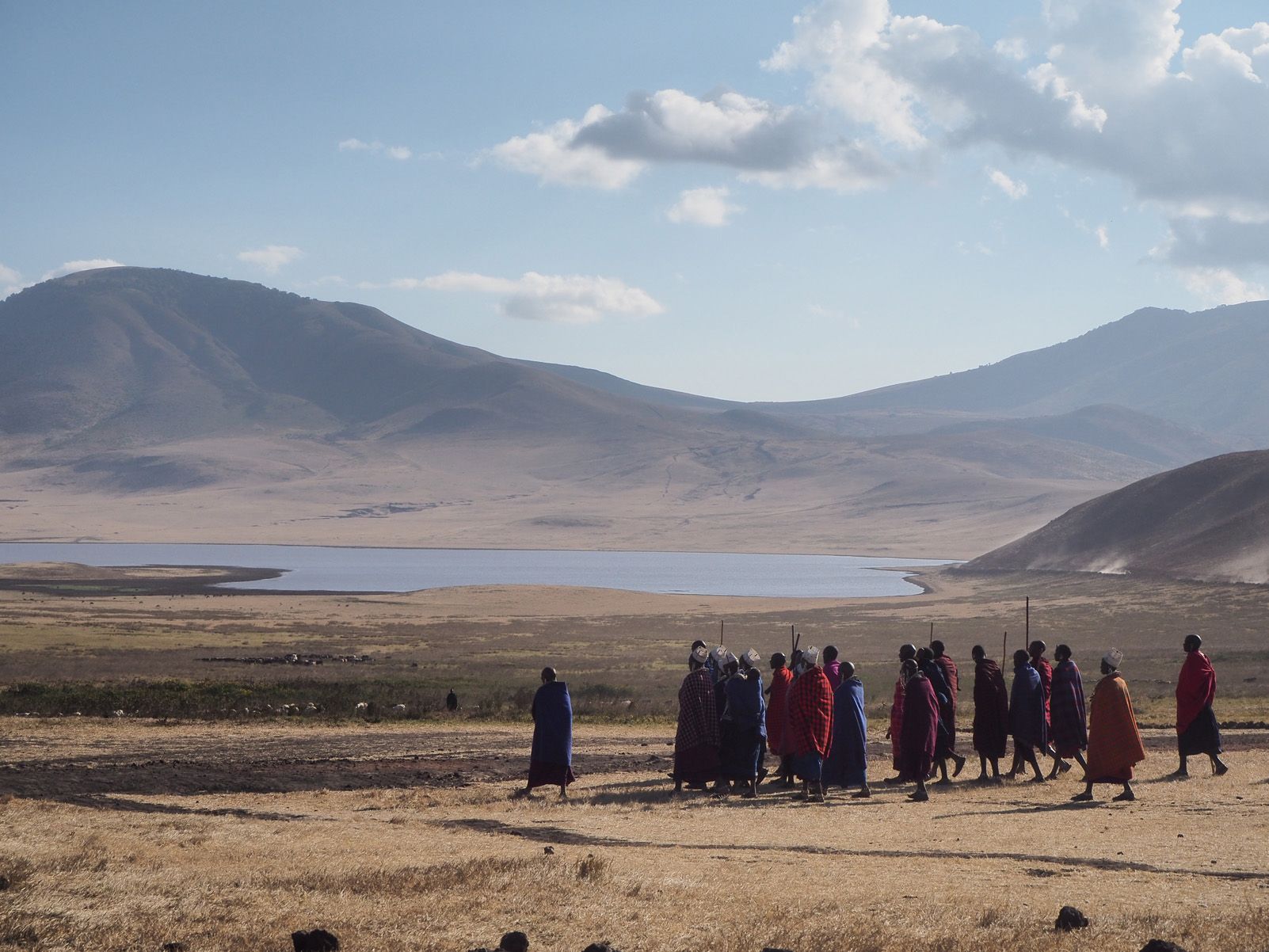 Dani Fernández "Immensitat nòmada"