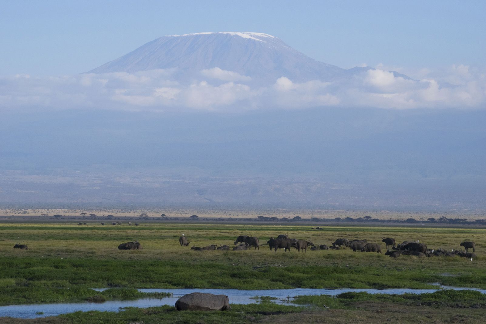 David Moral Curcó "Kilimanjaro sobre els núvols"