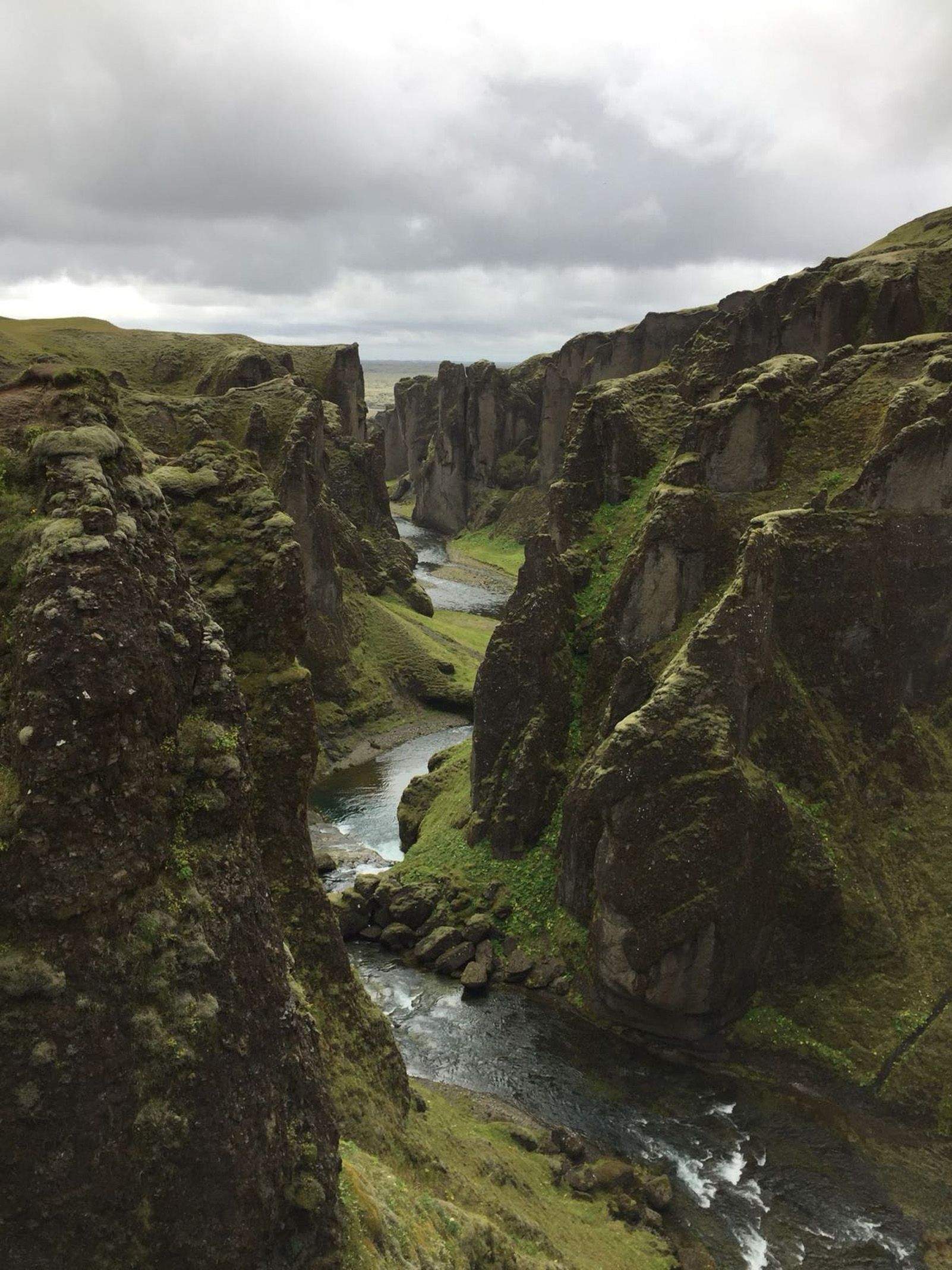 ELSA MATEOS VILADOT "NATURA DRAMÁTICA"