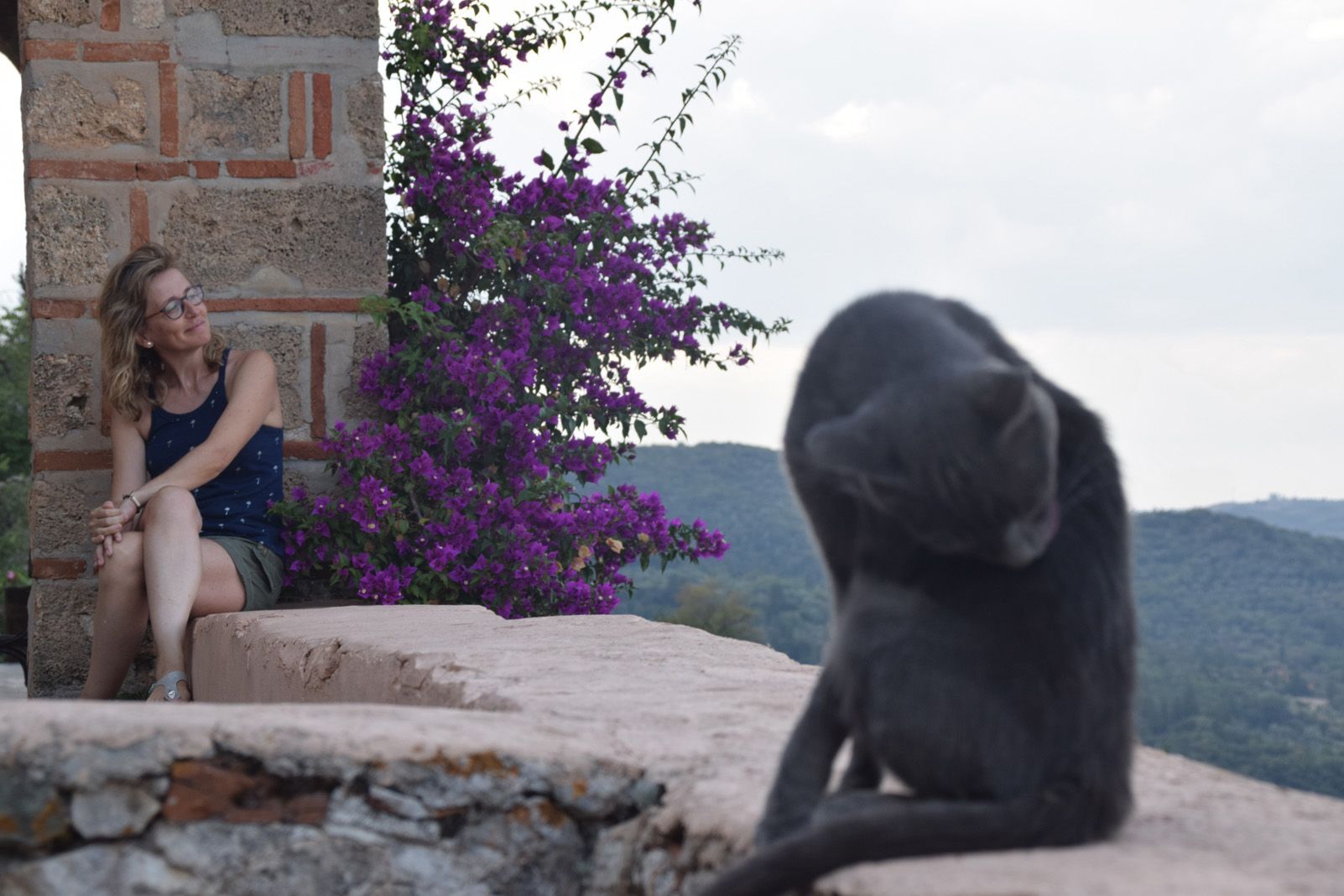 Enric Royo Llobet "Monestir. Passat i futur"