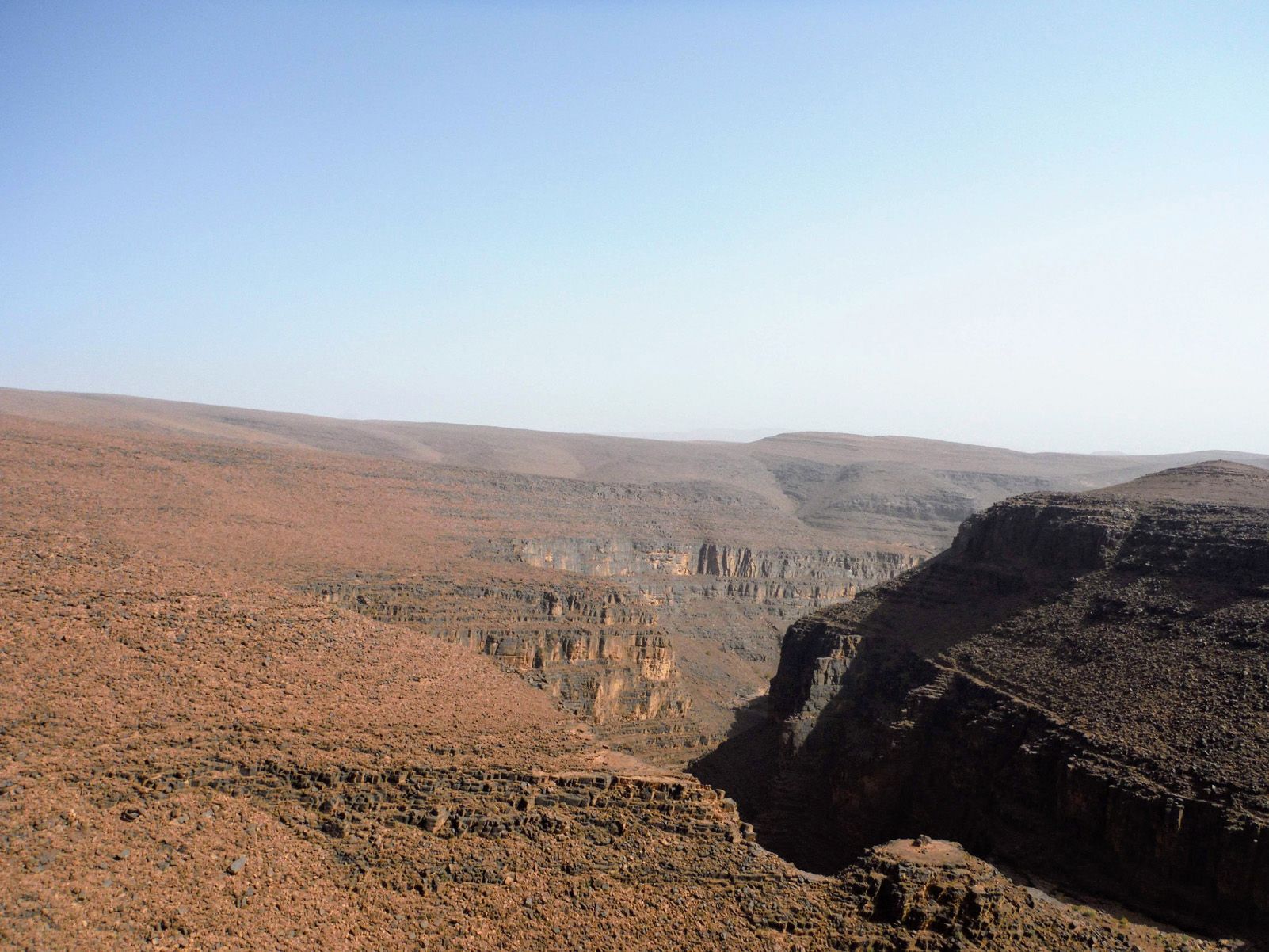 Esther Concha León "El Gran Atlas"