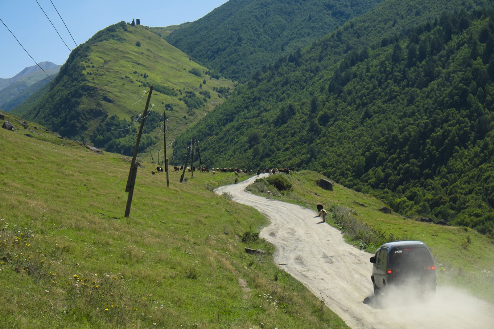 Eulàlia Sibina Marcó "Georgia rural"