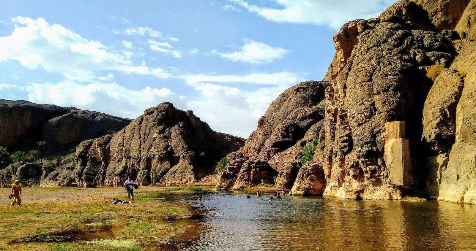 Fernando Montes García "Diversitat Cultural"