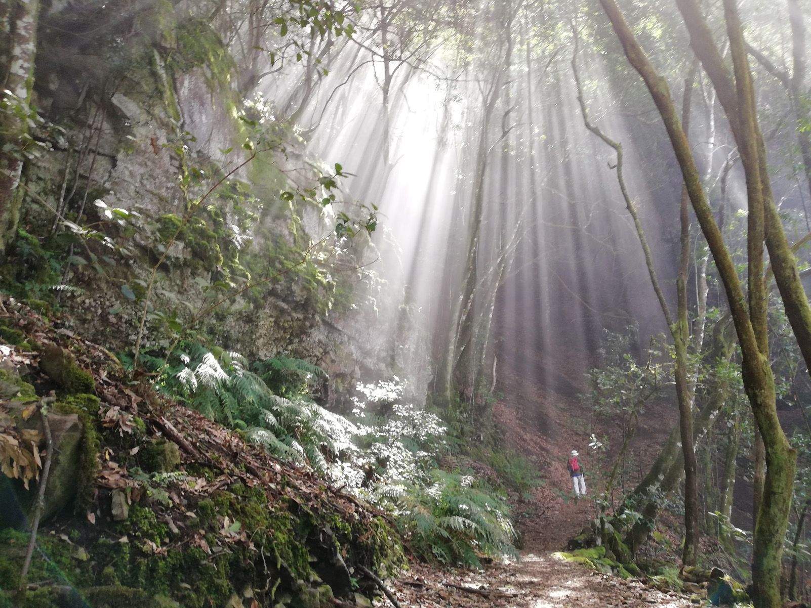 Gemma Garcia Higon "Pluja de llum"