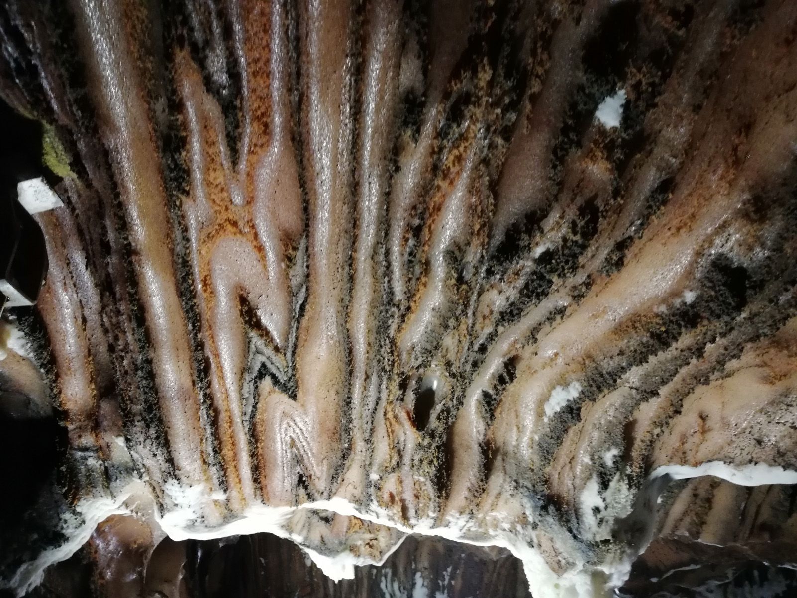 Gemma Garcia Higon "Sorgencia salina"