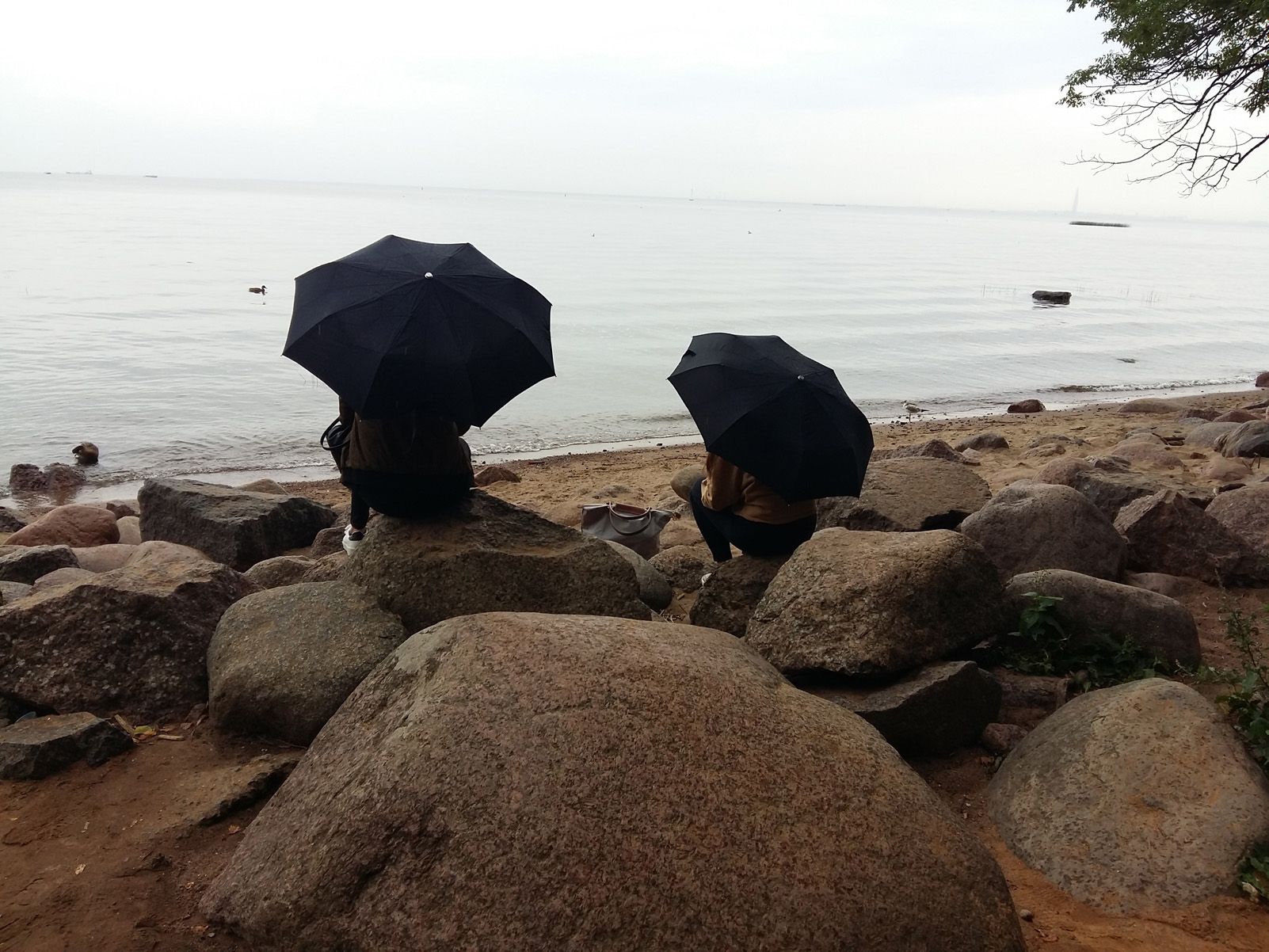 Glòria Villanueva Sánchez  "Plugim al Bàltic"