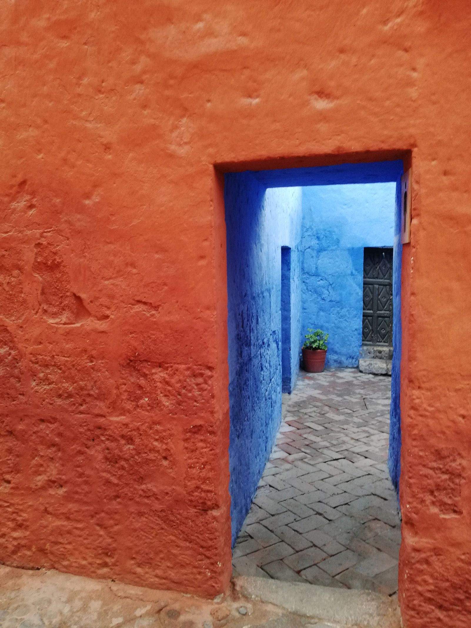 Irene Grau Sabau "Els colors del silenci"