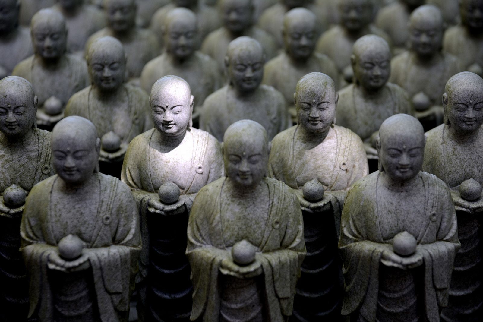 Isabel Aparicio Huertas "L'escollit"