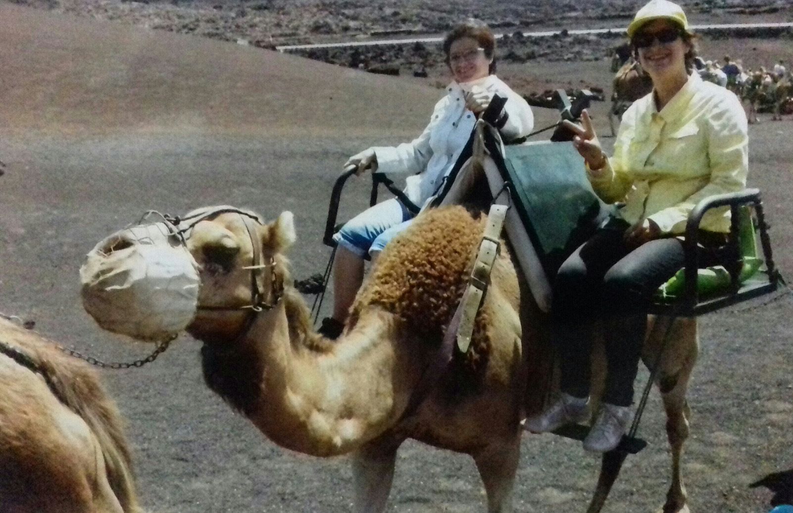 Isabel Robles "A camell"