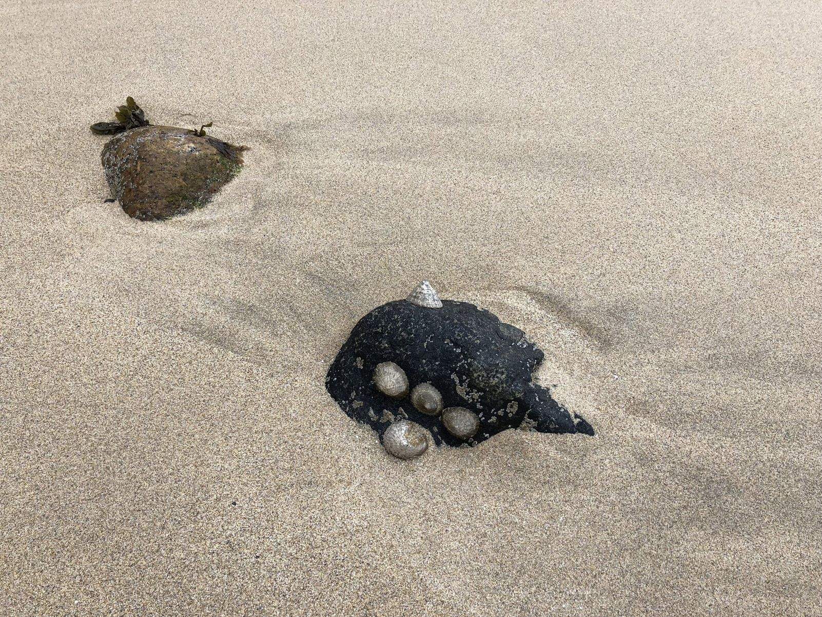 Isabel Sendra "Platja de Mangersta"